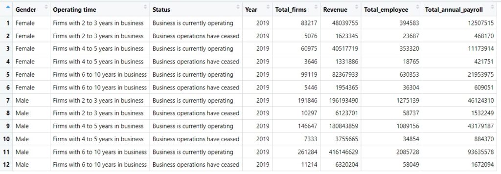 The image displays a detailed data table for business metrics from the year 2019, categorized by gender, operating time, and status. The table has six columns titled "Gender," "Operating time," "Status," "Total firms," "Revenue," "Total employee," and "Total annual payroll." There are 12 rows, each representing a different group of businesses distinguished by gender (Female or Male), the duration of operation (2 to 3 years, 4 to 5 years, or 6 to 10 years), and whether the business is currently operating or has ceased operations. Rows 1 and 2 detail female-owned firms that have been in business for 2 to 3 years, with row 1 for those still operating and row 2 for those whose operations have ceased. Rows 3 and 4 provide information on female-owned firms that operated for 4 to 5 years. Rows 5 and 6 represent female firms that operated for 6 to 10 years. Rows 7 and 8 concern male-owned firms with 2 to 3 years in business. Rows 9 and 10 describe male-owned businesses that operated for 4 to 5 years. Rows 11 and 12 cover male firms that operated for 6 to 10 years. Each row includes numerical data on the total number of firms, revenue, total employees, and total annual payroll, reflecting a range of business sizes and financial outcomes, from thousands to millions in revenue and payroll, and from a few thousand to hundreds of thousands of employees.