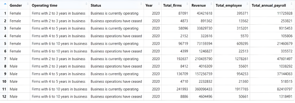 The image depicts a table with detailed data on business metrics categorized by gender, operating time, and status for the year 2020. The table has six columns labeled "Gender," "Operating time," "Status," "Total firms," "Revenue," "Total employee," and "Total annual payroll." There are 12 rows, each representing different groups of businesses based on gender (Female or Male), operating time (2 to 3 years, 4 to 5 years, or 6 to 10 years), and their operational status (currently operating or operations have ceased). Rows 1 and 2 represent female-owned firms that have been in business for 2 to 3 years, with row 1 showing those still operating and row 2 those that have ceased operations.Rows 3 and 4 show female-owned firms operating for 4 to 5 years, again split by operational status. Rows 5 and 6 are for female firms operating between 6 to 10 years. Rows 7 and 8 show data for male-owned firms with 2 to 3 years in business. Rows 9 and 10 for male-owned businesses with 4 to 5 years. Rows 11 and 12 cover male firms with 6 to 10 years of operation. Each row details the number of total firms, revenue, total employees, and total annual payroll in their respective categories, with numbers ranging widely, for instance, from a few thousand to several million in revenue and employee counts.
