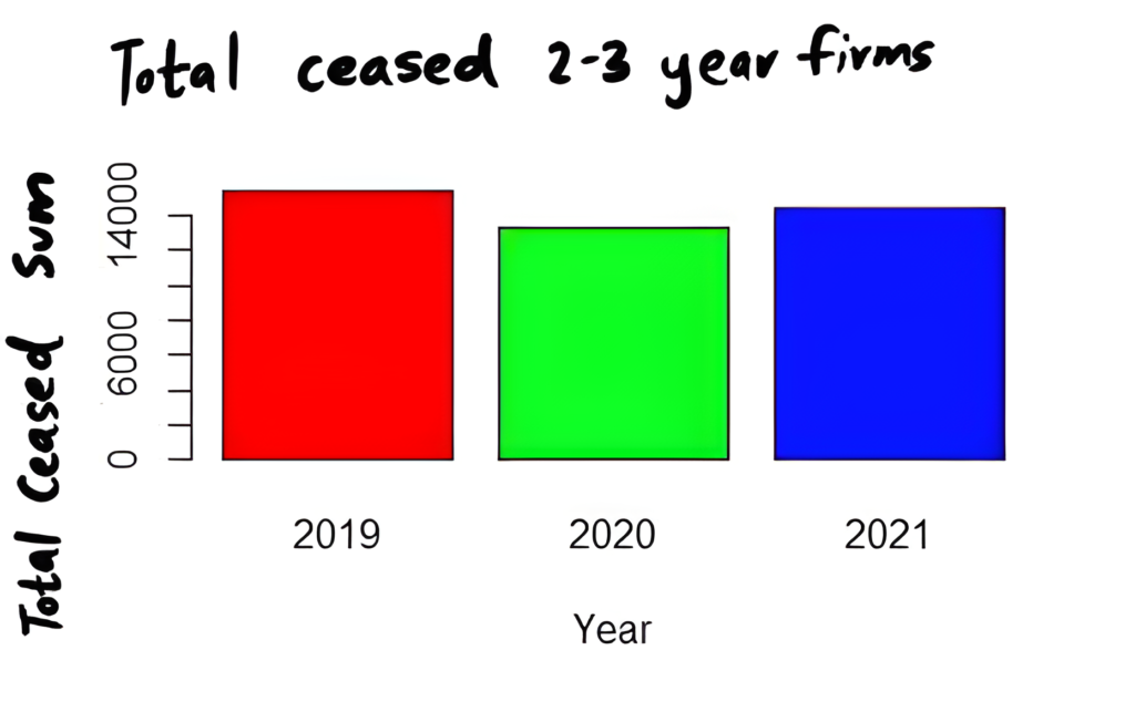 This bar chart shows the total number of ceased firms aged 2 to 3 years over three consecutive years: 2019, 2020, and 2021. Each year is represented by a bar colored red, green, and blue respectively. The y-axis is labeled "Total Ceased Sum" and ranges from 0 to 14,000 in increments of 2,000. The red bar for 2019 reaches approximately 12,000, indicating a high number of ceased firms. The green bar for 2020 is significantly lower, at about 4,000. The blue bar for 2021 shows an increase to around 8,000, indicating a rise in ceased firms compared to 2020 but still below the 2019 level.